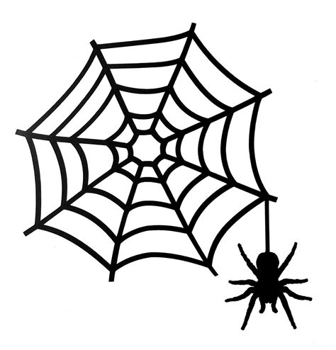 Spider Webhalloween Vinyl Decal Sticker For Windowcarvantrucketc Ebay