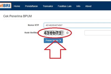 Penyebab Nik Ktp Tak Terdaftar Di Eform Bri Co Id Bpum Dan Cara Dapat