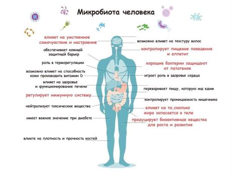 Здоровая земля, здоровые растения и люди - online presentation