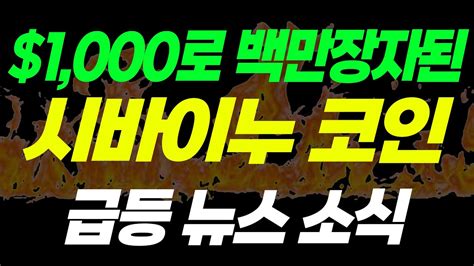 시바이누코인 시바이누 코인 호재 폭발 상승 준비 완료 도지 넘어설 것 Youtube