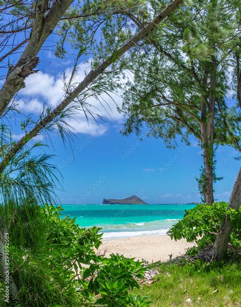 Waimanalo Beach Park in Oahu, Hawaii Stock Photo | Adobe Stock