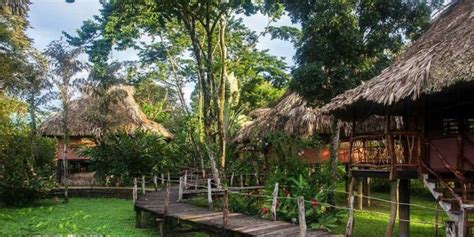 New Resort in Belize! | Birch Forest Lodge