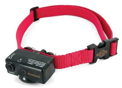 Electronic Dog Collars -- Are They Safe? | Dig Your Dog