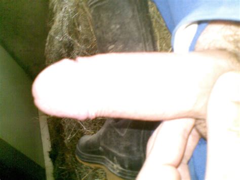 Horny Farmer In Stable Image ThisVid Tube
