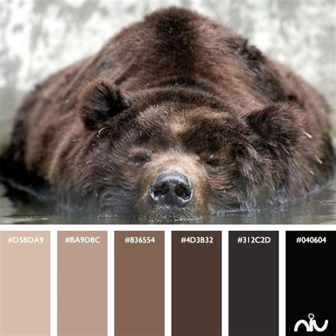 Choosing The Perfect Bear Paint Color For Your Home - Paint Colors