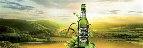 Starobrno Tradicni - Světlé výčepní pivo, 4,0% obj. alkoholu Řízné pivo ...