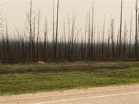 A Journey Through Wildfire Evacuation Congregation Of Sisters Of St