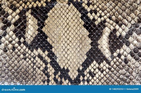 Genuine Python Snakeskin Leather Snake Skin Texture Background