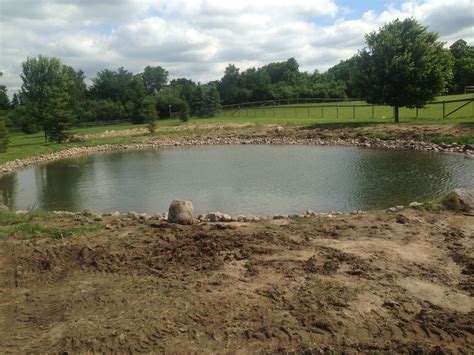 Best Trees For Pond Banks at Francine Fitzgerald blog