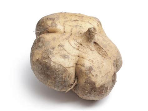 Health Benefits Of Jicama Organic Facts