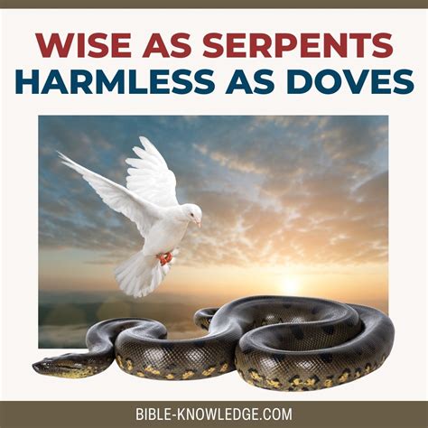 Wise as Serpents - Harmless as Doves - Biblical Commentary