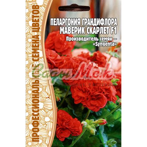 Купить Семена Пеларгонии королевской (грандифлоры) в Москве с доставкой