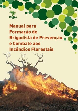 Preven O E Combate A Incendios Florestais Pdf