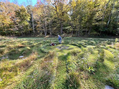 The Maze Maker's Guide: 5 Steps To Craft A Mind-Bending Labyrinth