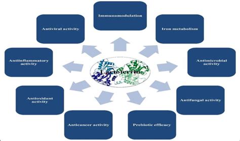 Multiple Antimicrobial Functions Of Lactoferrin The Antibacterial