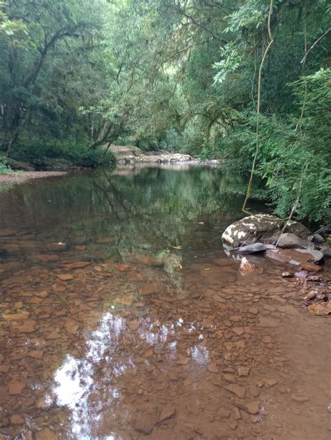 Lagoa Bonita Do Sul Promove Caminhada Na Natureza Gaz Not Cias