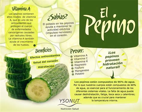 Nutricionista Estudiar Pepino Y Sus Propiedades