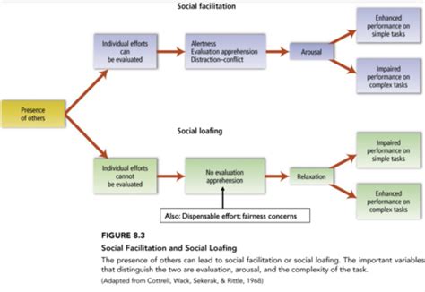 Social Psychology Chapter Social Groups Flashcards Quizlet