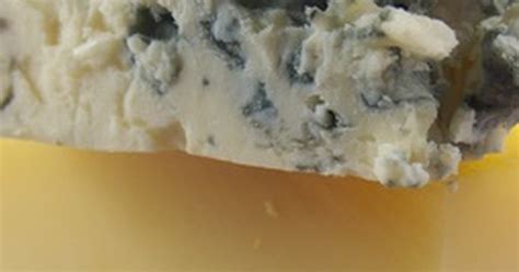 Bacteria used to make cheese | eHow UK