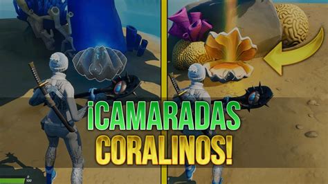 Fortnite Advierte A Los Jugadores Sobre Los Coralinos Descubre Todo