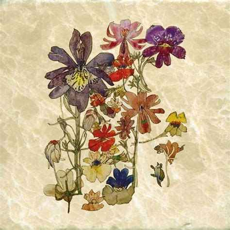 Arts & Crafts to Art Nouveau: Charles Rennie Mackintosh Flowers