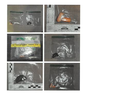 Rhode Island girl seeks DNA evidence of Santa Claus, sends letter to