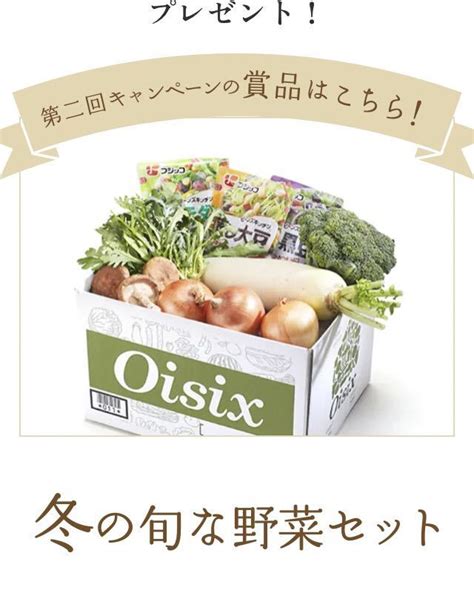 Yahooオークション レシート懸賞 Oisix厳選 季節の旬の野菜を総計90