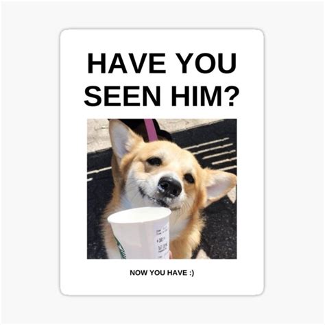 "lost dog meme" Sticker by francxsca | Redbubble