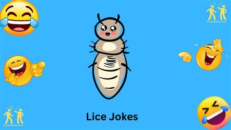 55+ Funny Lice Jokes That Will Make You Laugh