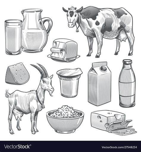 Hand Drawn Dairy Products Farm Cow And Goat Milk Healthy Fresh Product