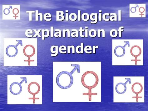 Ppt The Biological Explanation Of Gender Powerpoint Presentation Free Download Id281844