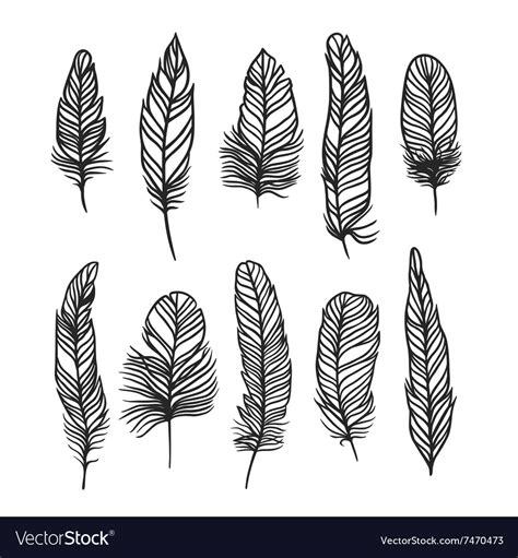 Boho Feather Hand Drawn Effect Style Royalty Free Vector