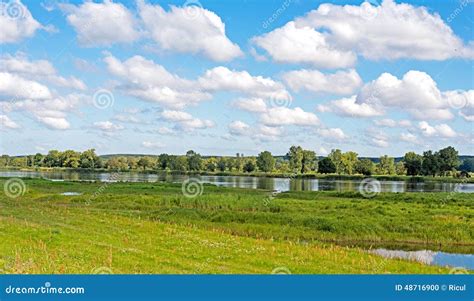 Landscape on the Oder River Stock Photo - Image of forest, meadows ...