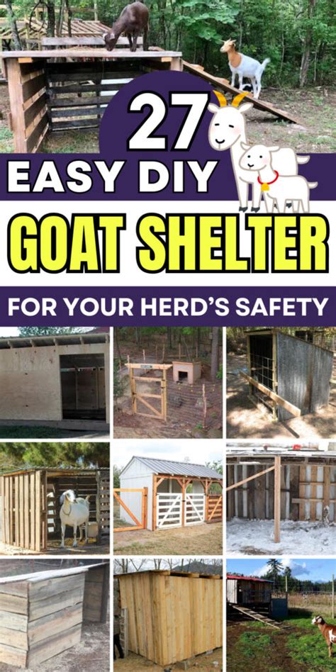 27 Practical DIY Goat Shelter Plans for Comfortable Housing