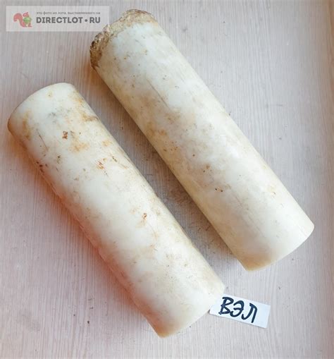 Капролон (полиамид-6) ф70х220 мм купить в Ижевске цена 1000 Р на ...