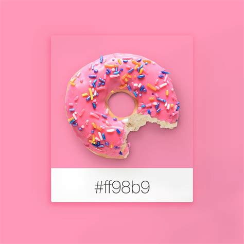 Wix Pinterest Color Inspiration Pink Donut Brand Colors Inspiration