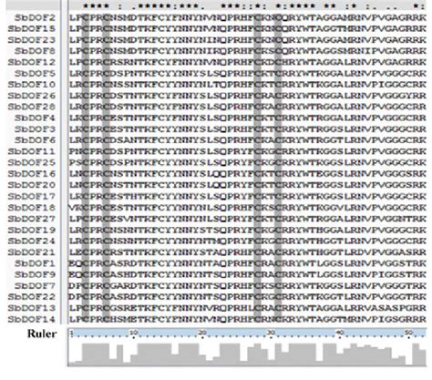 Multiple Sequence Alignment Of The Dof DNA Binding Domain From The