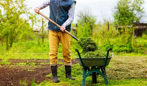 Comment Pailler Le Potager En Hiver Communaut Ma Communaute Carrefour