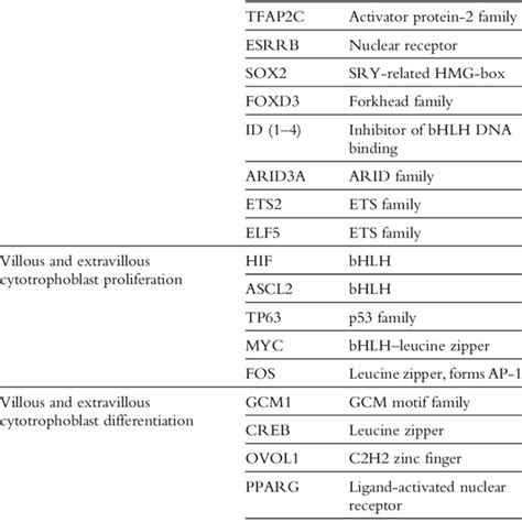 (PDF) Transcription Factors That Regulate Trophoblast Development and Function