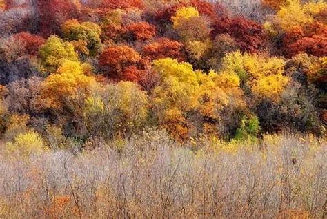 Gallery Show Nature And Landscape Photography Brad Mangas