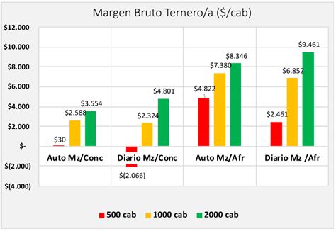 C Mo Aprovechar Los M Rgenes Favorables En Feedlot Opci N Rural