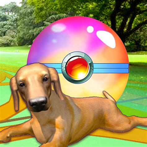 Puppy GO - Apps on Google Play