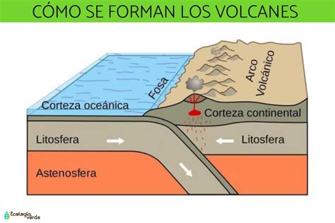 Son Los Volcanes Un Ejemplo De Actividad Tectonica Porque