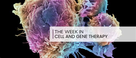 Cell therapy weekly: Leveraging CRISPR-Cas3 to treat epidermolysis bullosa