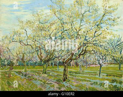 Vincent Van Gogh The White Orchard Landscape Painting In Oil On