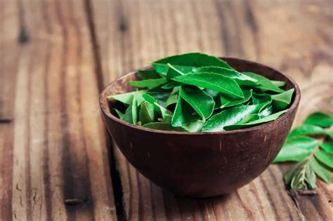 Tasty Curry Leaves Uses