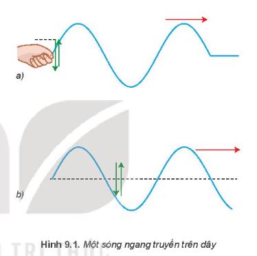 Gi I Sbt V T L B I K T N I Tri Th C S Ng Ngang S Ng D C S