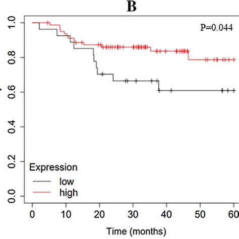 Heat Maps Of The Ctas Expression In Tnbc And Non Tnbc Individual