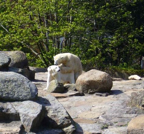 Sex Should Be Fun Pics