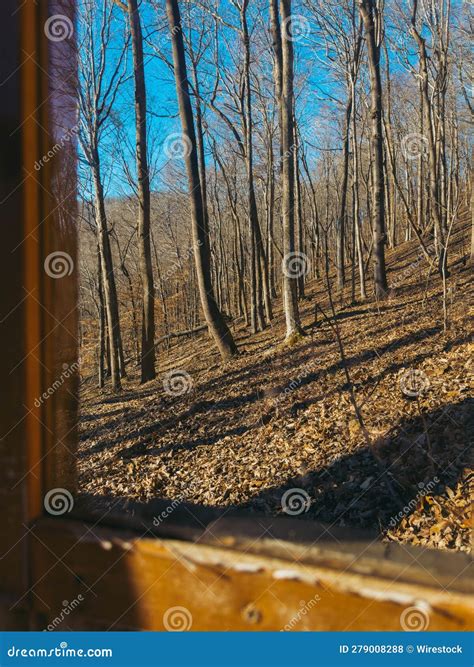 View through a Window Frame with a Forest in the Background Stock Photo ...